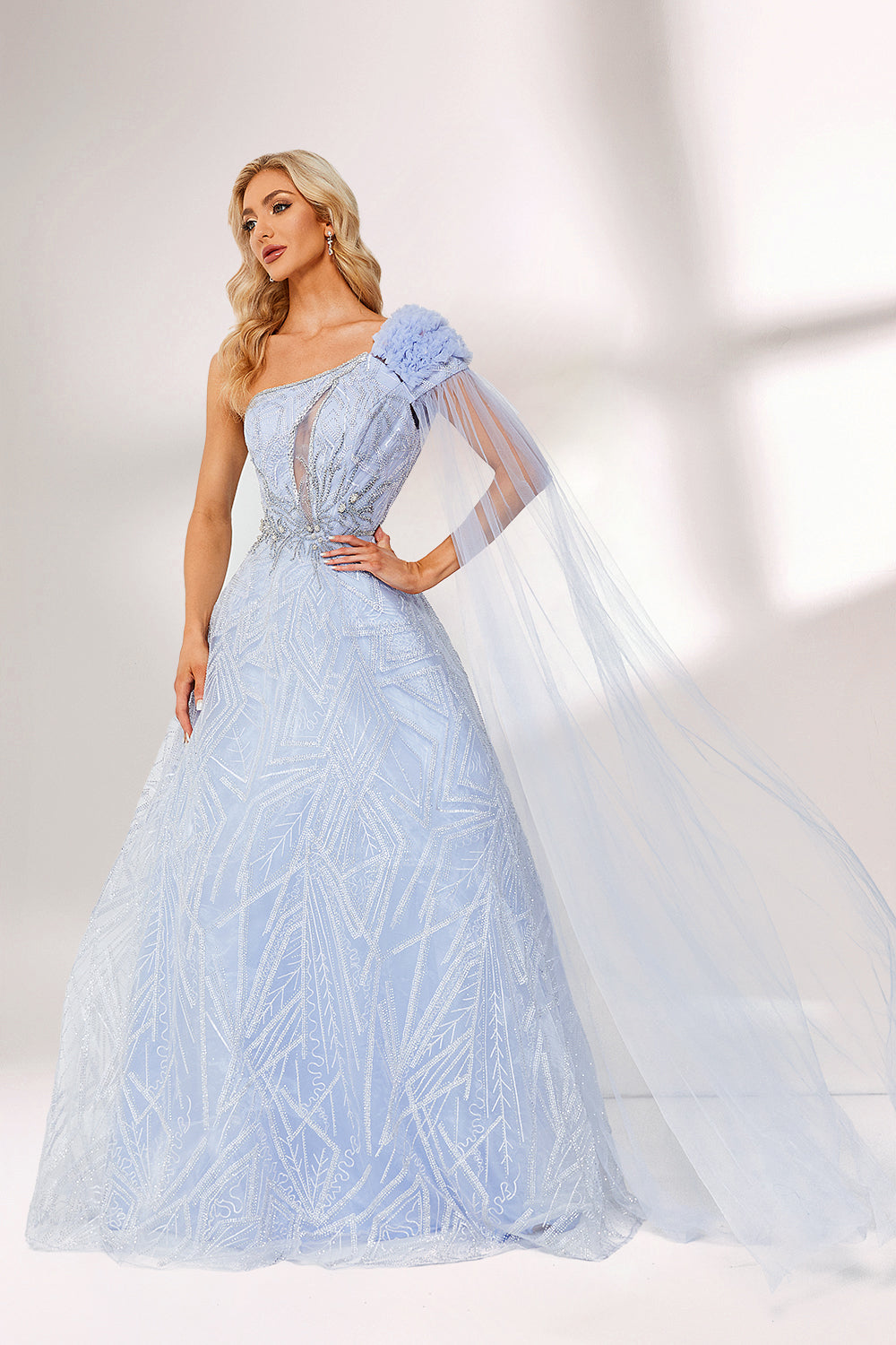 In soft lighting, a woman stuns in a light blue one - shoulder evening gown. It has a floral accent on the shoulder, a sheer cape - like detail, and intricate silver embroidery. The dreamy design creates an elegant and fairy - tale - like look, perfect for grand events.3